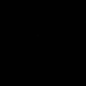 Meet your Posher, Reagan